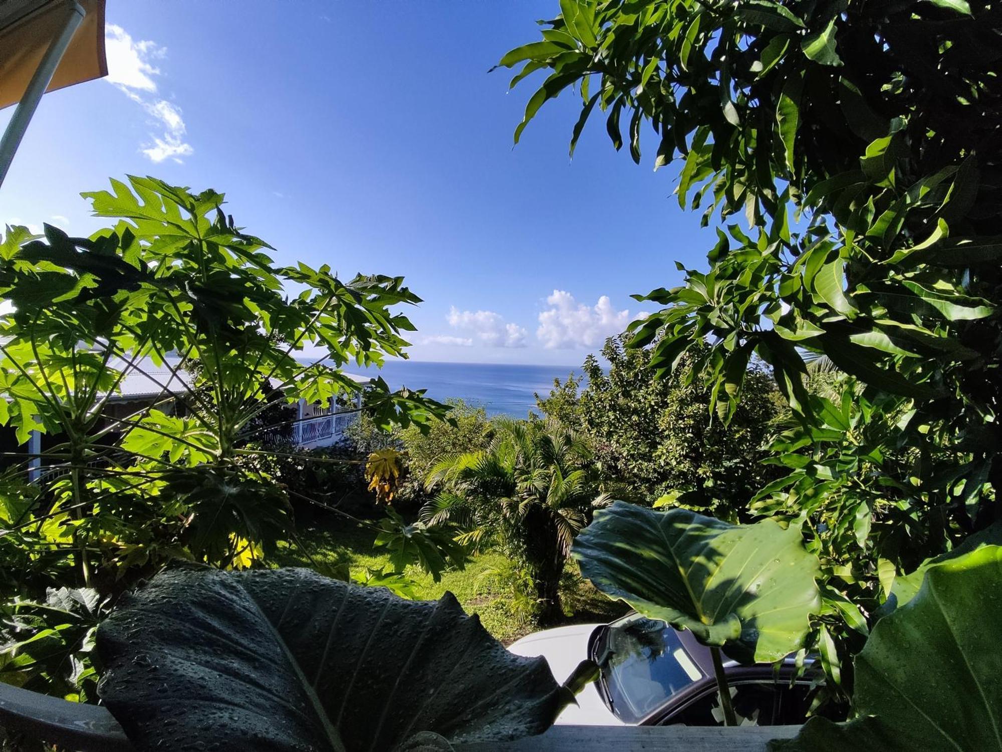 Bungalow With Sea View In Deshaies Cameră foto